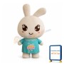 Rabbit Mascot Costumes with Big Head