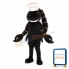 Black Scorpion Mascot Costumes