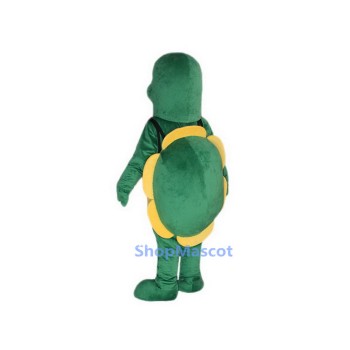 Little Green Tortoise Mascot Costumes