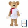 Cartoon Character Brown Bear Mascot Costume