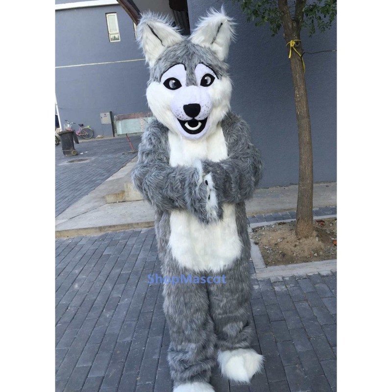 Long Gray Wolf Mascot Costume