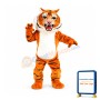 Super Tiger Mascot Costume