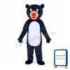 North Africa Baloo Bear Mascot Costume