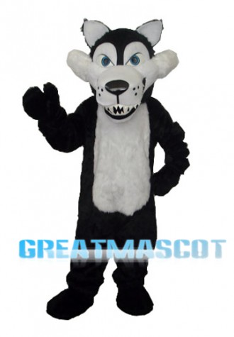 Long Wool Big Black Wolf with White Belly Mascot Adult Costume Free Shipping