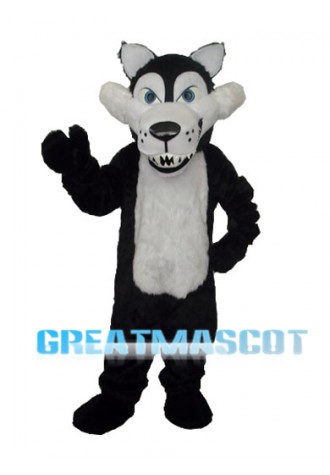Long Wool Big Black Wolf with White Belly Mascot Adult Costume Free Shipping