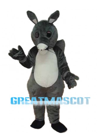 Long Tail Squirrel Mascot Adult Costume Free Shipping