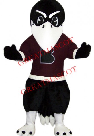 College Raven Mascot Costume