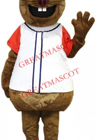 Cheap Squirrel Mascot Costume