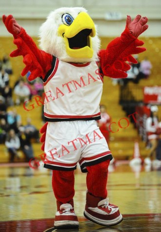 College Hawks Mascot Costume