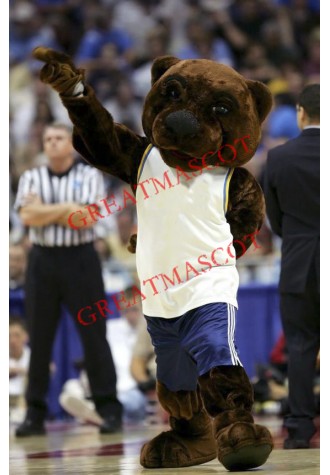 College Basketball Bear Mascot Costume