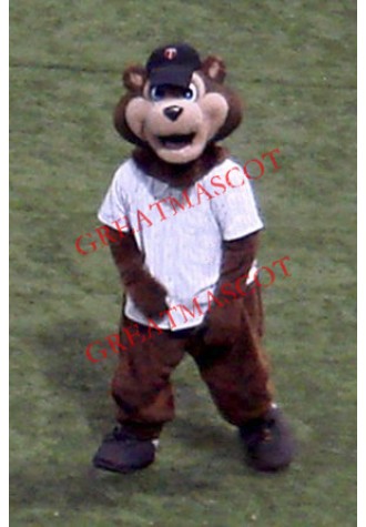 Baseball Bear Mascot Costume