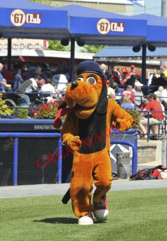College Hound Dog Mascot Costume