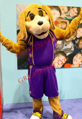 College Sport Dog Mascot Costume