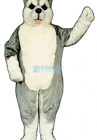 Cute Husky Mascot Costume