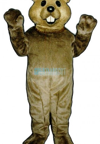Cute Groundhog Mascot Costume