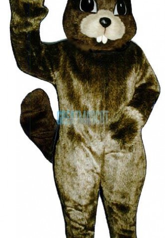 Cute Squirrel Mascot Costume