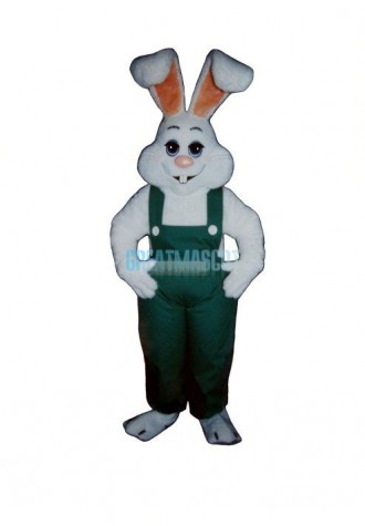 Bunny Boy Mascot Costume