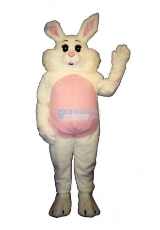 Willy Rabbit Mascot Costume