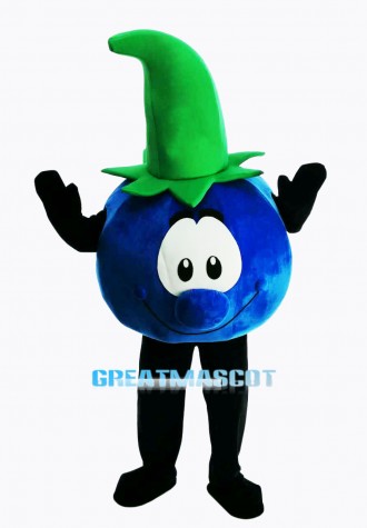 Bobby Blueberry Lightweight Mascot Costume