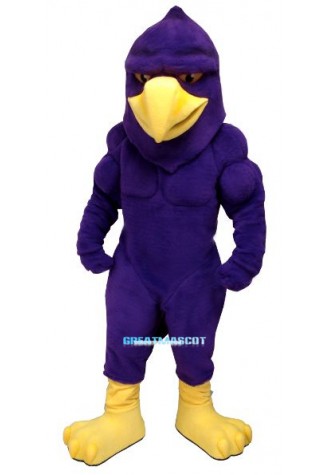 Power Hawk Mascot Costume