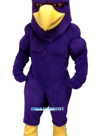 Power Hawk Mascot Costume