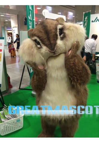 Best Quality Squirrel Mascot Costume