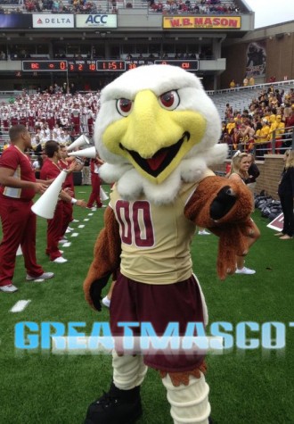 College Eagles Mascot Costume