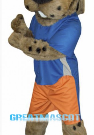 Sport Dog Mascot Costume