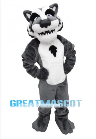 Reyburn Timberwolf Mascot Costume