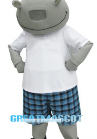 Sunny Hippo Mascot Costume