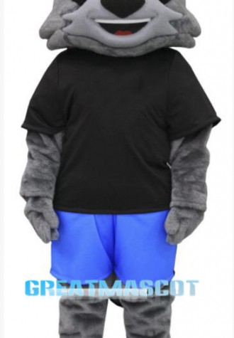 Cool Raccoon Mascot Costume
