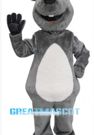 Affable Mouse Mascot Costume