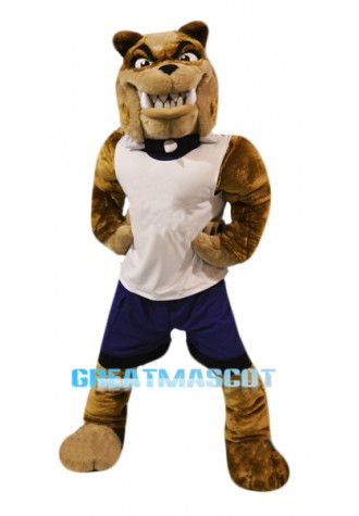 Sport Bull Dog Mascot Costume