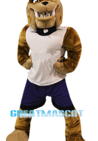 Sport Bull Dog Mascot Costume