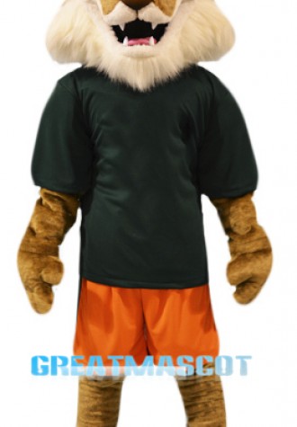 High Quality Coyote Mascot Costume
