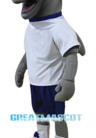 College Dolphin Mascot Costume