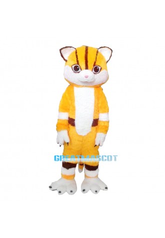 Tiger Mascot costumes
