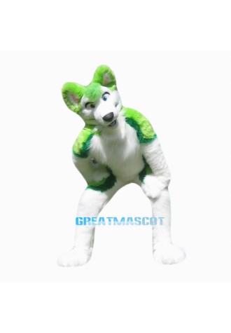 High quality Husky Plush materia Mascot Costume