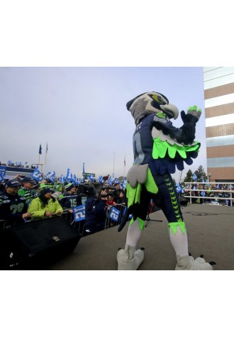 Seahawks Lightweight Mascot Costume