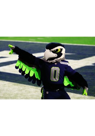 Seahawks Lightweight Mascot Costume