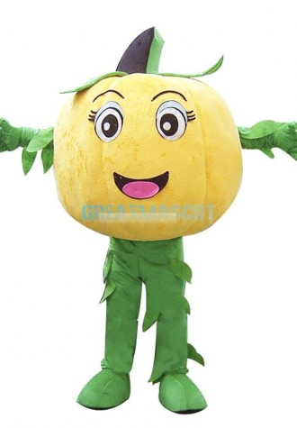 Halloween Pumpkin Mascot Costume Vegetable Costume for Adult