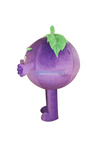 A Grape Mascot Costume Baddy Vegetable Costume for Adult