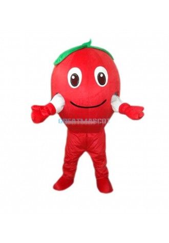 Red Apple Mascot Costume Free Shipping