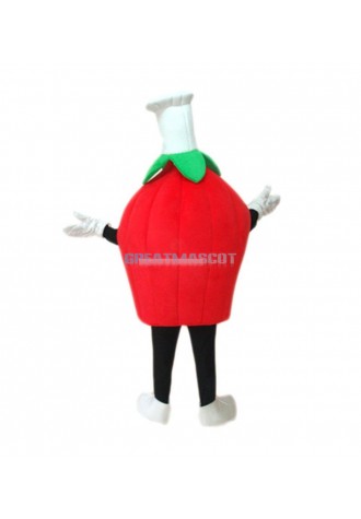 Strawberry Mascot Costume Free Shipping