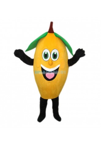 High Quality Lemon Mascot Costume