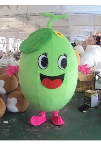 Melon Mascot Costume