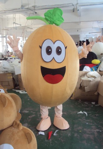 Cantaloupe Mascot Costume