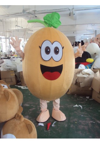 Cantaloupe Mascot Costume