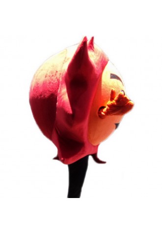 Sun Mascot Costumes Free Shipping