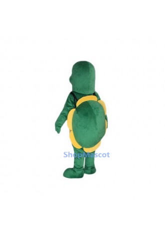 Little Green Tortoise Mascot Costumes